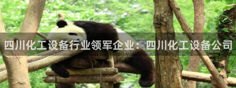 天辰平台总代