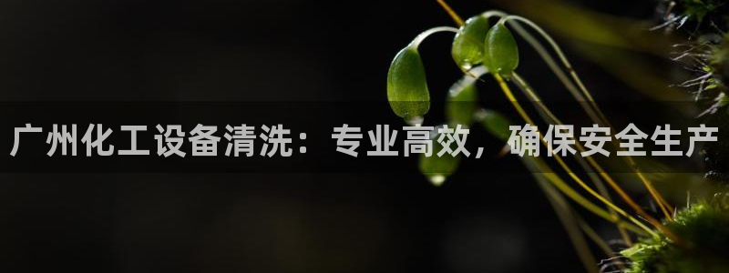 天晨测绘有限公司
