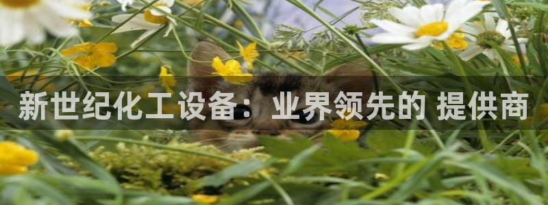 天辰平台总代理