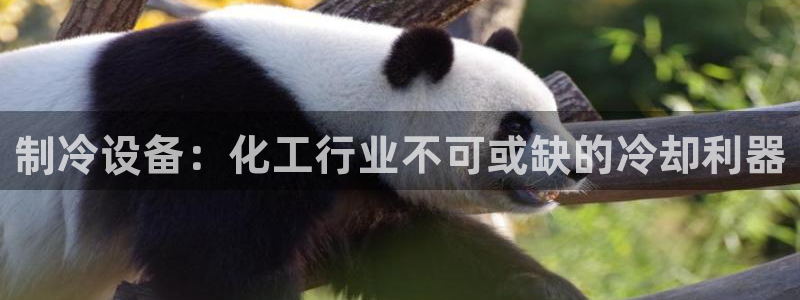 天辰网会员