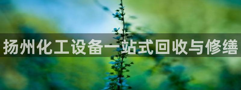 天辰平台弄 585341