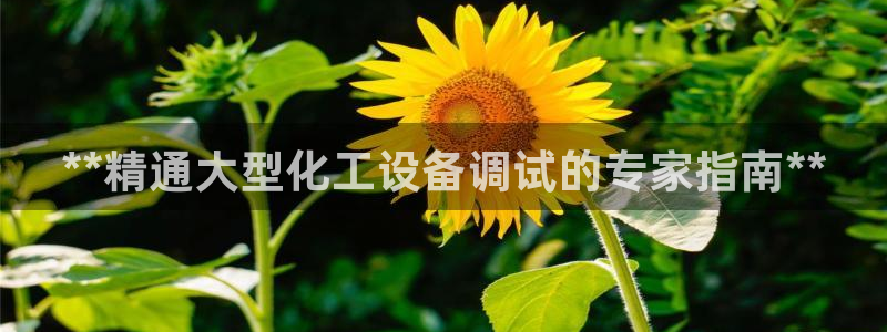 天辰平台登录地址在哪里