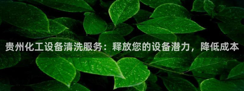 天辰娱乐平台用户评价与反馈