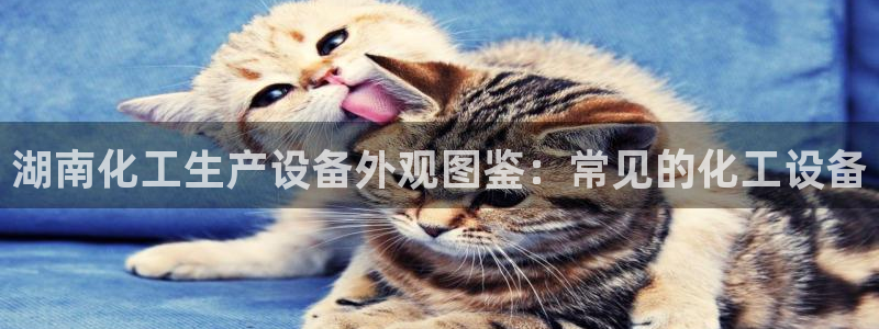 天辰游戏平台怎么样