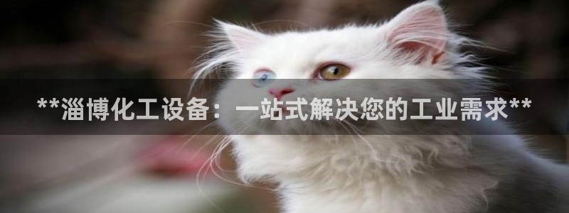 天辰平台登录注册失败