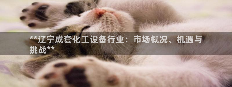 天辰娱乐平台账号注册地址是多少啊