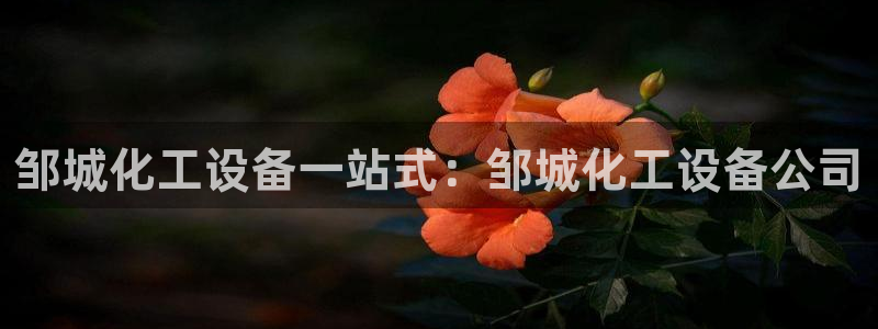 天辰平台石7O777