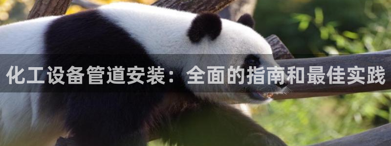 天辰平台用户注册不了