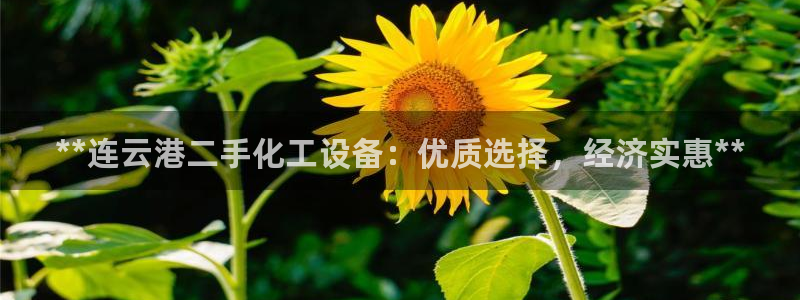 天辰平台科技