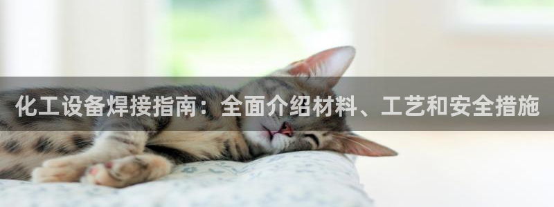 天辰娱乐的老板是谁啊