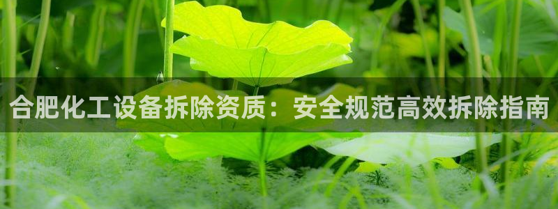 天辰平台登录注册账号