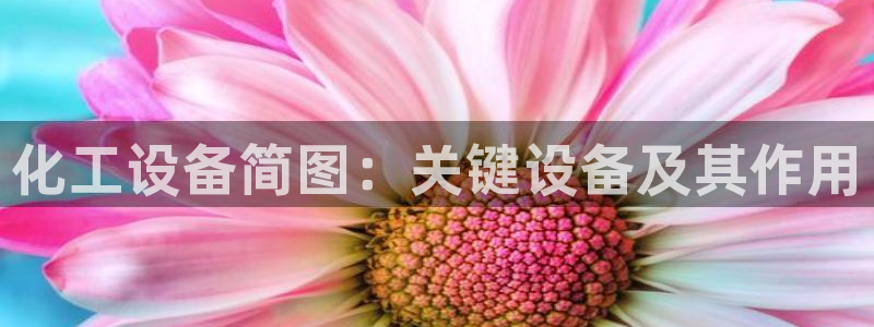 天辰平台用户注册流程