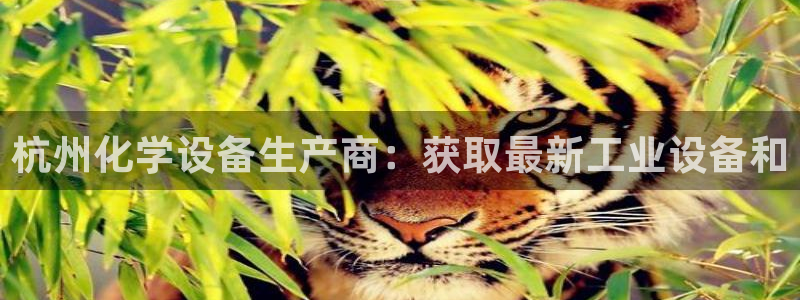 天辰平台联 5O6917 平台