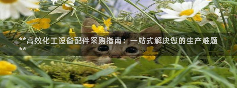 天辰平台用户登录失败