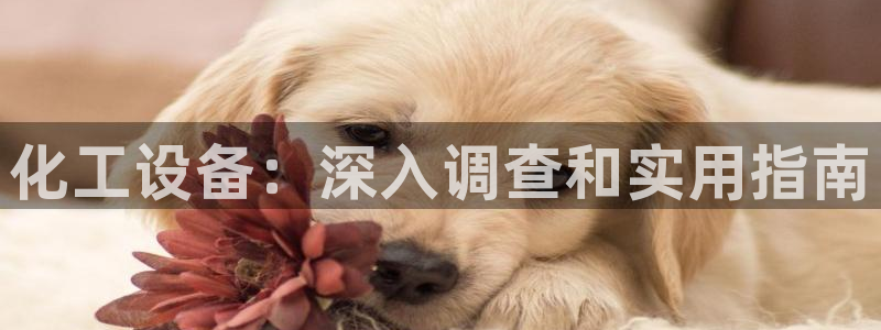 天辰注册会员官网