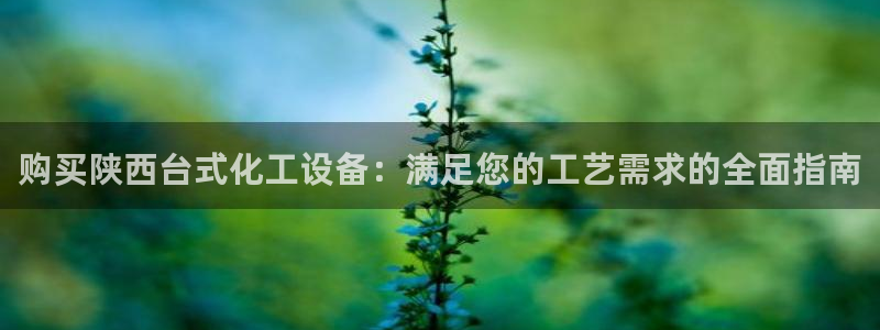 天辰平台注册地址在哪里看