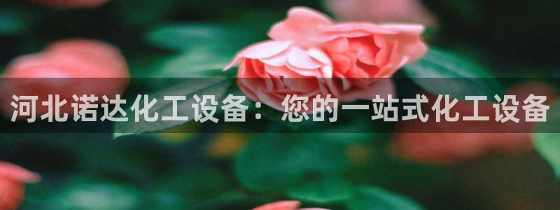 天辰平台登录注册账号