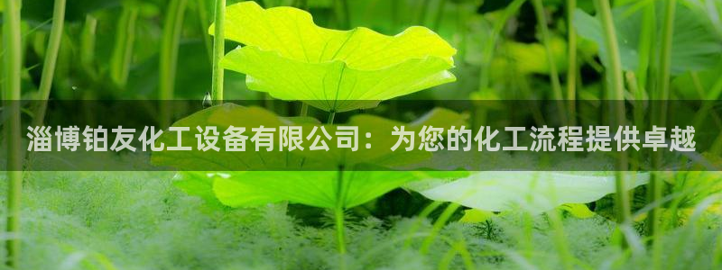 天辰平台注册登录地址怎么改不了