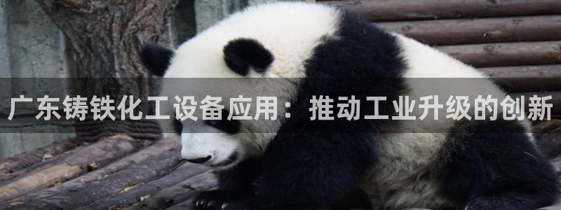 天辰平台科技