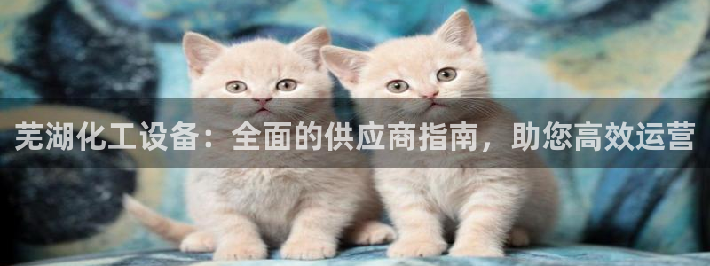 天辰娱乐代理注册平台登录系统错误