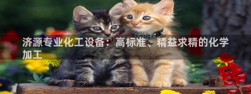 天辰会员注册链接怎么弄