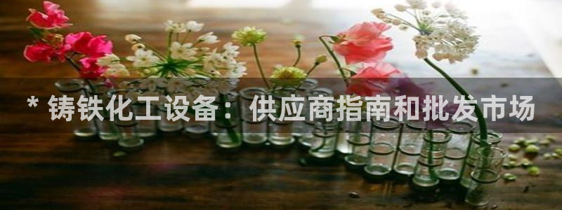 天辰平台登录地址在哪里改