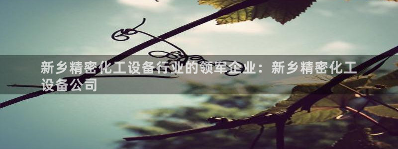 天辰171：新乡精密化工设备行业的领军企业：新乡精
