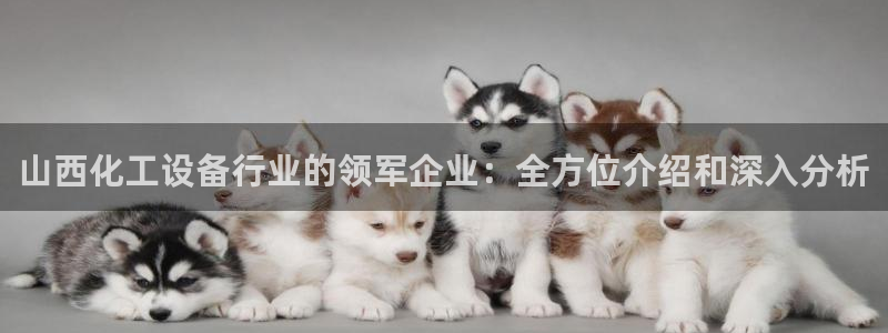 天辰平台况7O777：山西化工设备行业的领军企业：