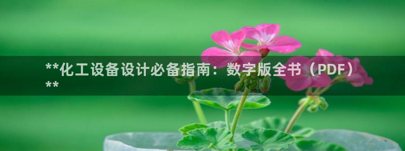 天辰平台用户注册网址：**化工设备设计必备指南：数