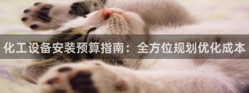 天辰平台测速登录失败怎么办