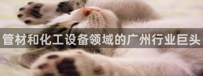 天辰平台房7O777