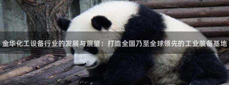 天辰平台怎么样赚钱的：金华化工设备行业的发展与展望