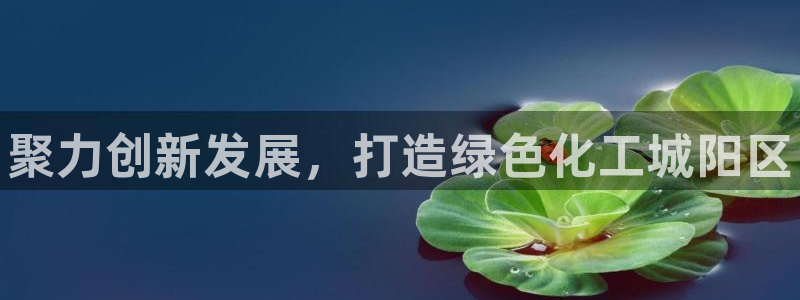 天辰平台用户登录不了账号