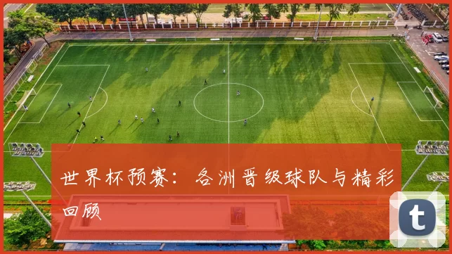 世界杯预赛：各洲晋级球队与精彩回顾