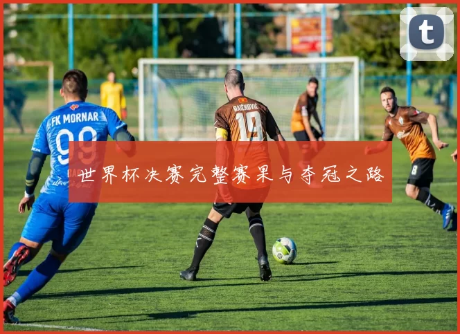 世界杯决赛完整赛果与夺冠之路