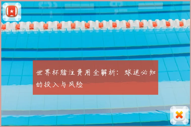 世界杯赌注费用全解析：球迷必知的投入与风险