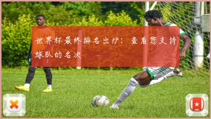 世界杯最终排名出炉：查看您支持球队的名次
