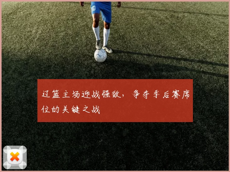 辽篮主场迎战强敌，争夺季后赛席位的关键之战