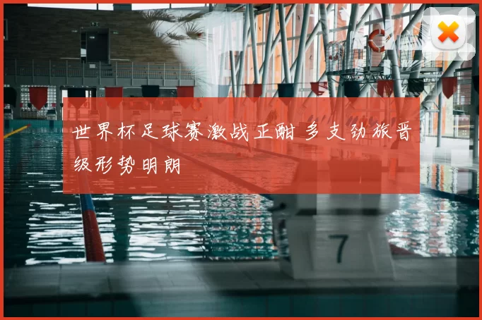世界杯足球赛激战正酣 多支劲旅晋级形势明朗