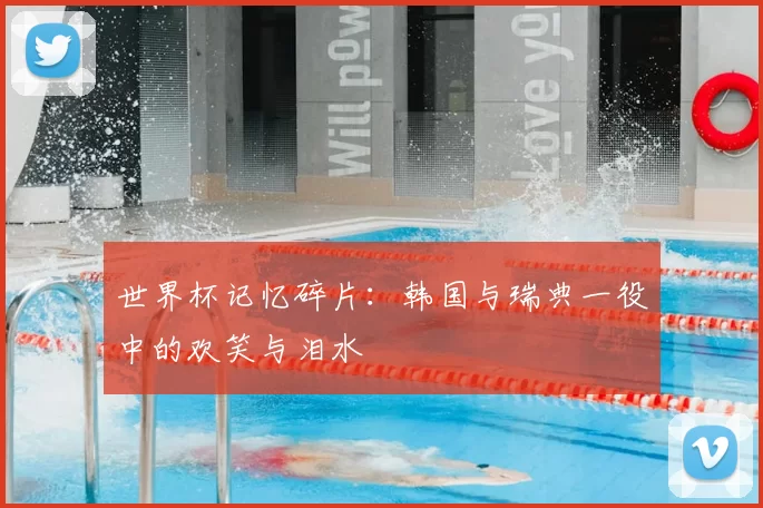 世界杯记忆碎片:韩国与瑞典一役中的欢笑与泪水