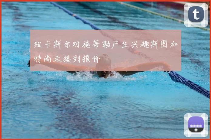 纽卡斯尔对施蒂勒产生兴趣斯图加特尚未接到报价