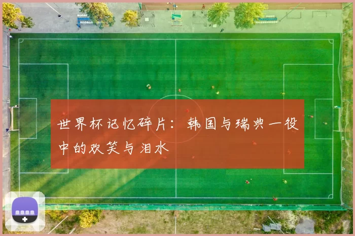 世界杯记忆碎片：韩国与瑞典一役中的欢笑与泪水