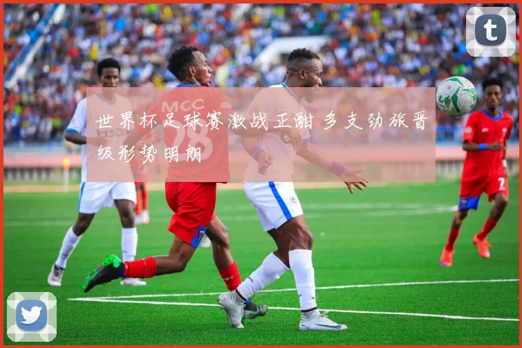 世界杯足球赛激战正酣 多支劲旅晋级形势明朗
