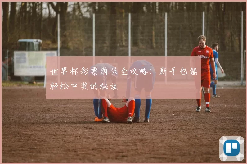世界杯彩票购买全攻略:新手也能轻松中奖的秘诀