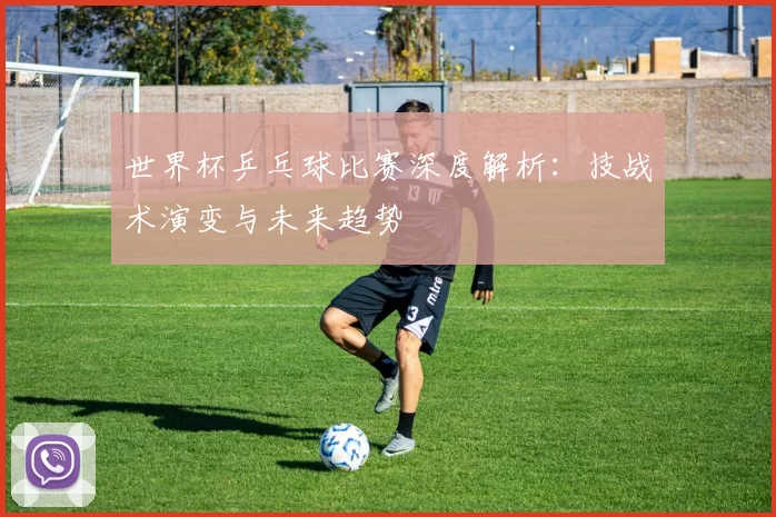 世界杯乒乓球比赛深度解析：技战术演变与未来趋势
