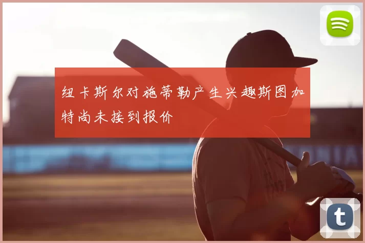 纽卡斯尔对施蒂勒产生兴趣斯图加特尚未接到报价