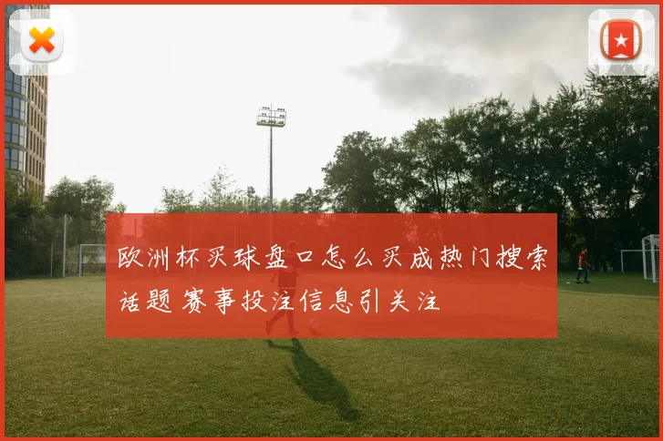 欧洲杯买球盘口怎么买成热门搜索话题 赛事投注信息引关注
