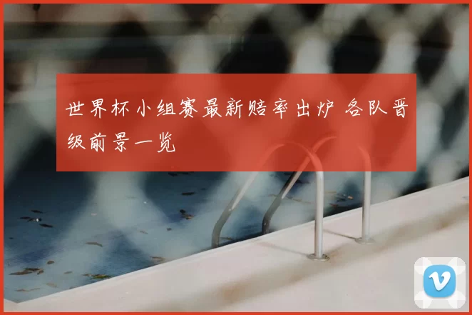 世界杯小组赛最新赔率出炉 各队晋级前景一览