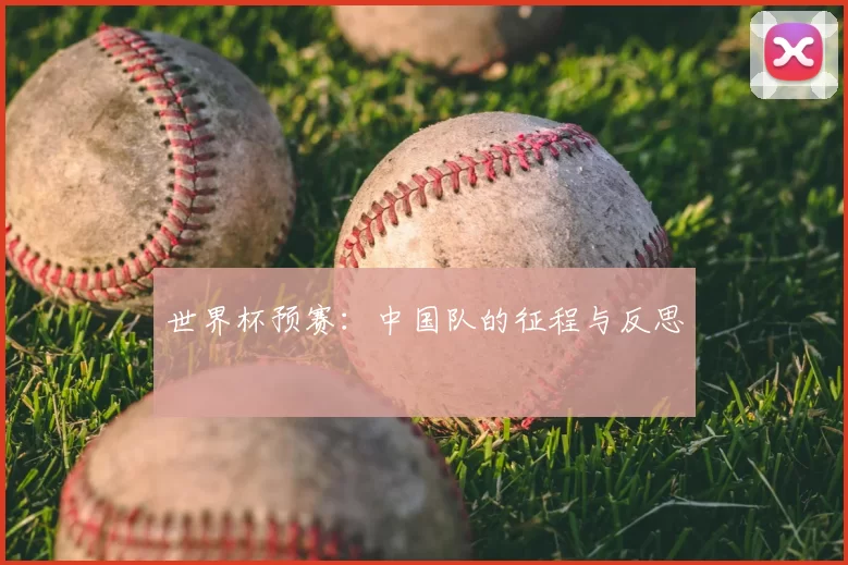 世界杯预赛:中国队的征程与反思