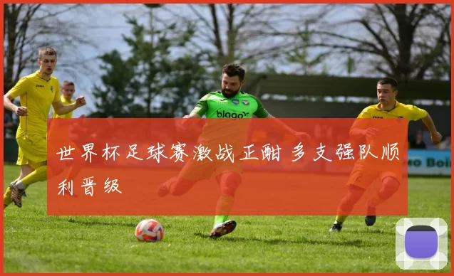 世界杯足球赛激战正酣 多支强队顺利晋级